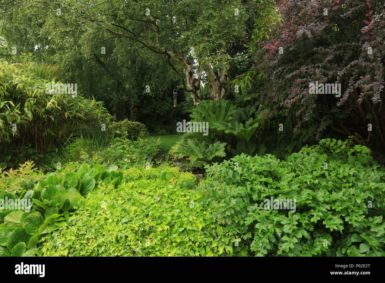 Ein Wildlife freundlich Garten in den West Midlands, England, Großbritannien. Stockfoto