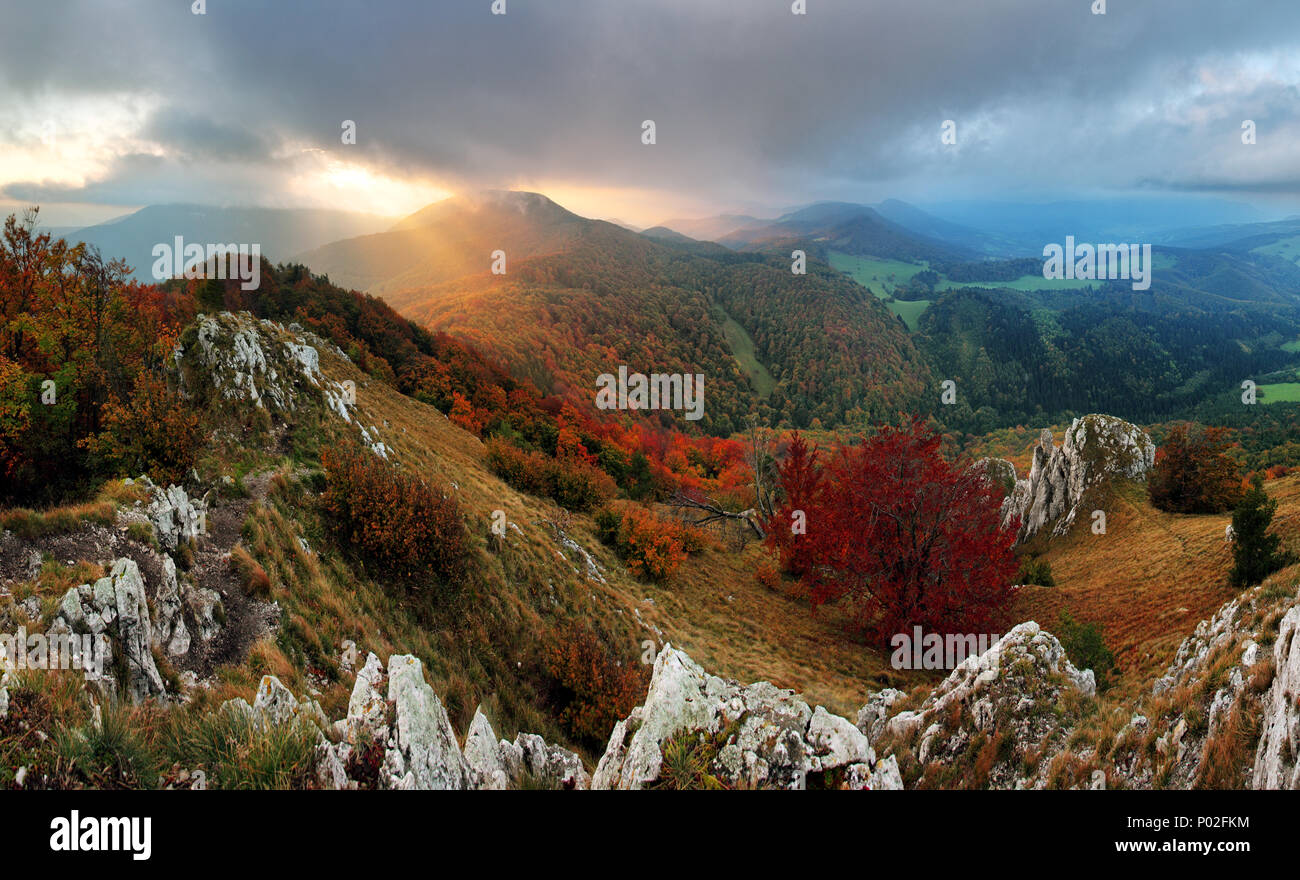 Felsen und Wald im Herbst in der Slowakei Stockfoto