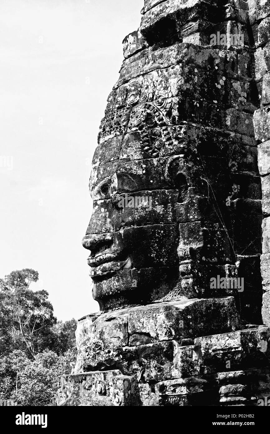 Angkor Wat, Siem Reap, Kambodscha, Ruinen, alte Gebäude, Dschungel, Palmen, Khmer, Suryavarman, Jayavarman, Geschichte, Bayon, Tempel, Statuen, Carvi Stockfoto