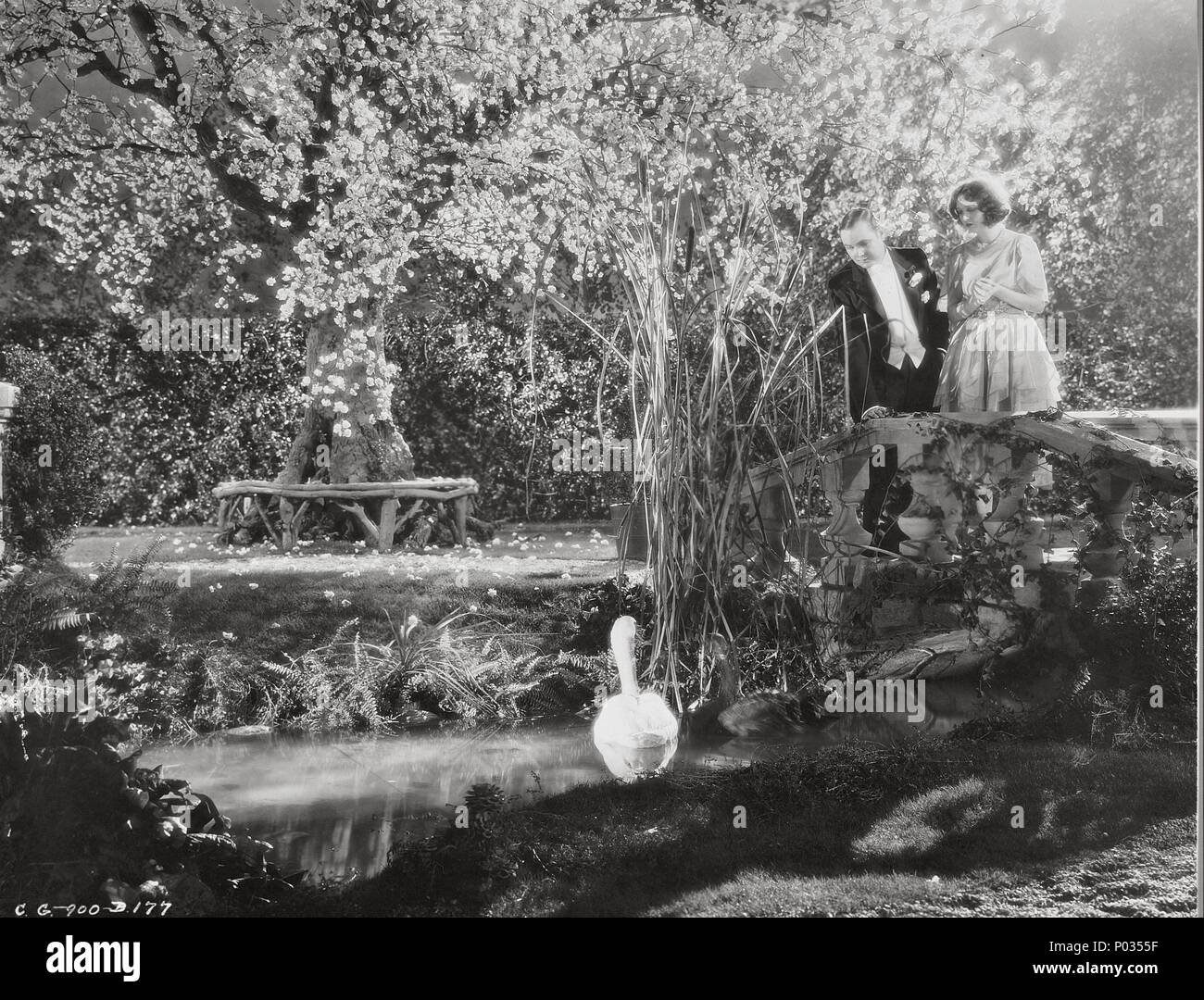 Jardin del eden Fotos und Bildmaterial in hoher Auflösung Alamy