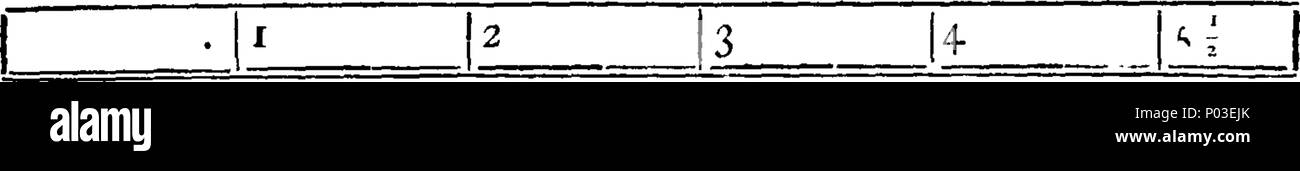 . Englisch: Fleuron aus Buch: Zivil-, Handels-, politische und literarische Geschichte von Spanien und Portugal. Durch die späte Wyndham Beawes, Esq.Seine Majestät Konsul für fast 30 Jahre in Cádiz und Sevilla. In zwei Bänden. ... 37 ein Zivil-, Handels-, politische und literarische Geschichte von Spanien und Portugal Fleuron T 106339-1 Stockfoto