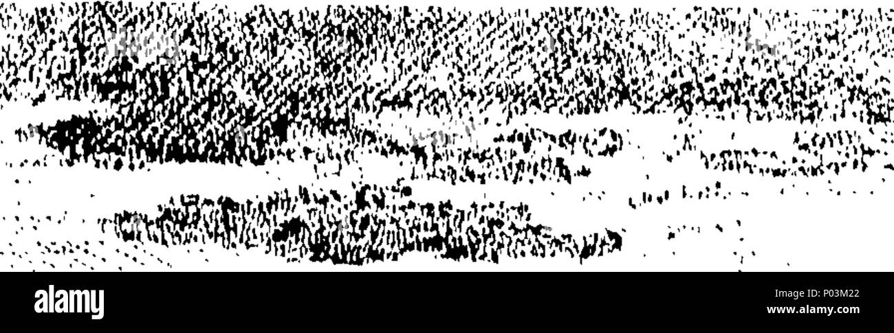 . Englisch: Fleuron aus Buch: eine Sammlung von Ansichten in England und Wales, gezeichnet und von John boydell eingraviert. Zu denen hinzugefügt werden, die von der gleichen Hand graviert, verschiedene Themen nach verschiedenen Meister. 50 eine Sammlung von Ansichten in England und Wales, gezeichnet und von John boydell Fleuron T 083680-39 eingraviert Stockfoto