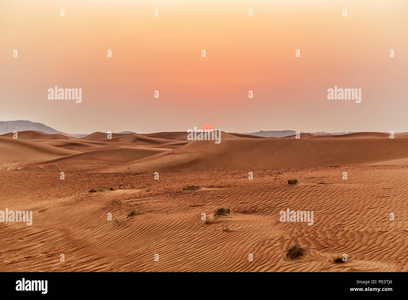 Schönen Sanddünen in der Wüste. Stockfoto