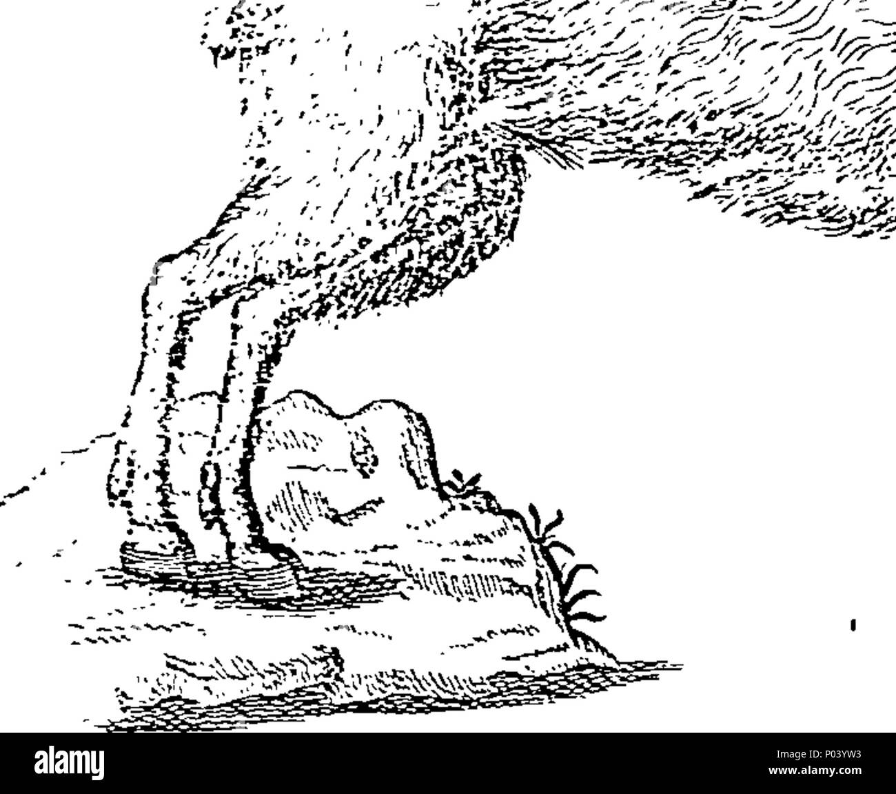 . Englisch: Fleuron aus Buch: eine komplette Geschichte der Drogen. In französischer Sprache von Monsieur Pomet geschrieben. Chief Drogist zum späten französischen König Lewis XIV. Zu denen noch was weiter auf dem gleichen Thema ist, von der Verwirrung. Und Tournefort Lemery, aufgeteilt in drei Klassen, pflanzliche, tierische und mineralische; mit ihren Einsatz in Physik, Chemie, Pharmazie, und mehrere andere Künste illustriert mit über 400 Copper-Cuts, neugierig aus dem Leben getan; und eine Erklärung der unterschiedlichen Namen, Orte und Länder, in denen sie produziert werden; mit den Methoden der Unterscheidung der Gen Stockfoto