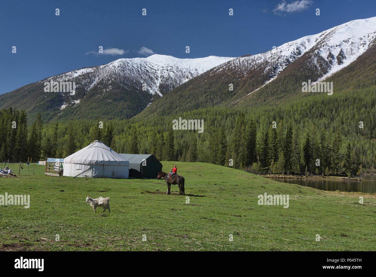 Haus auf der Strecke; Jurten in Kanas See National Park, Xinjiang, China Stockfoto