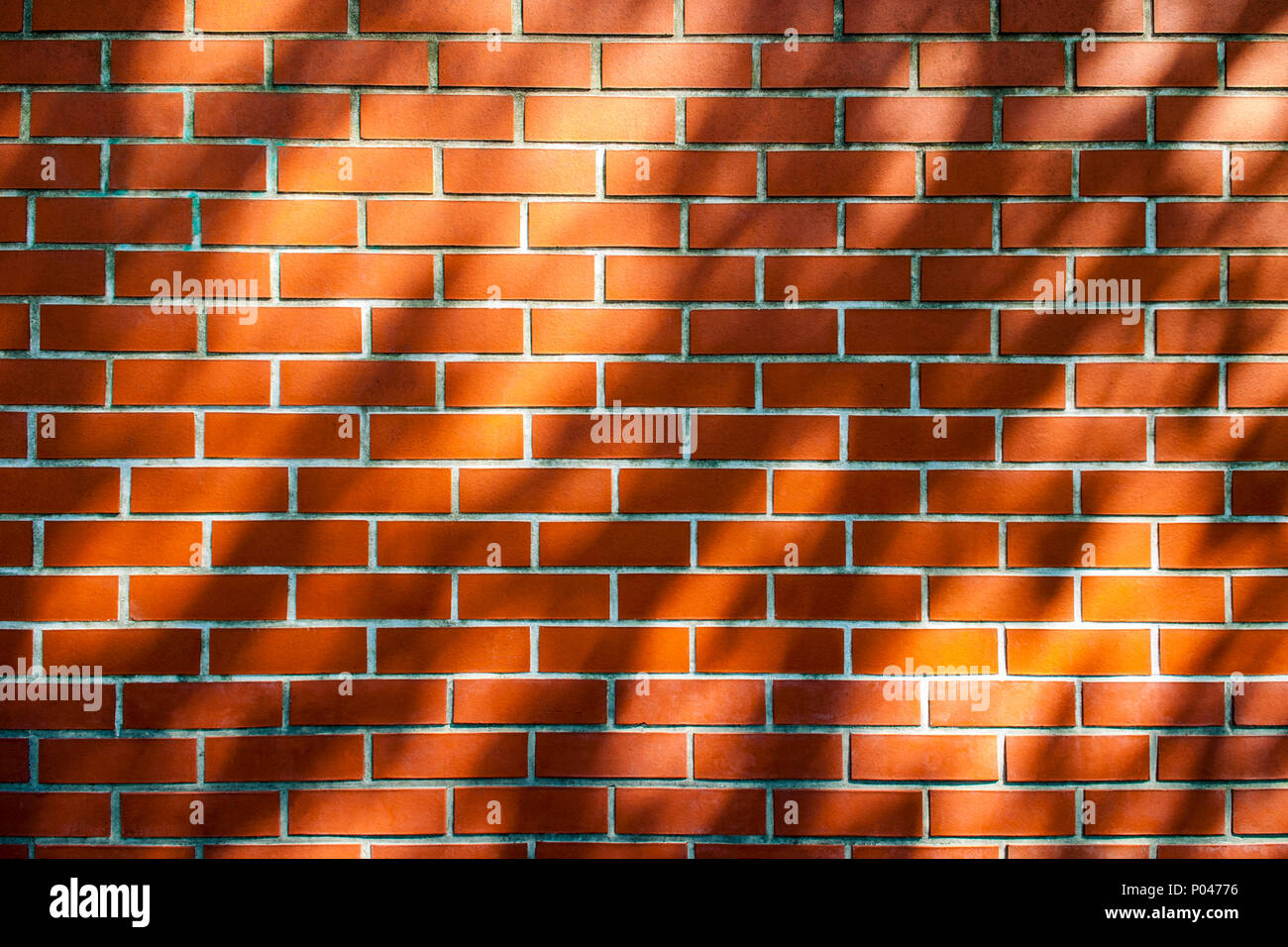 Der Schatten eines Baumes auf Red brick wall. Stockfoto