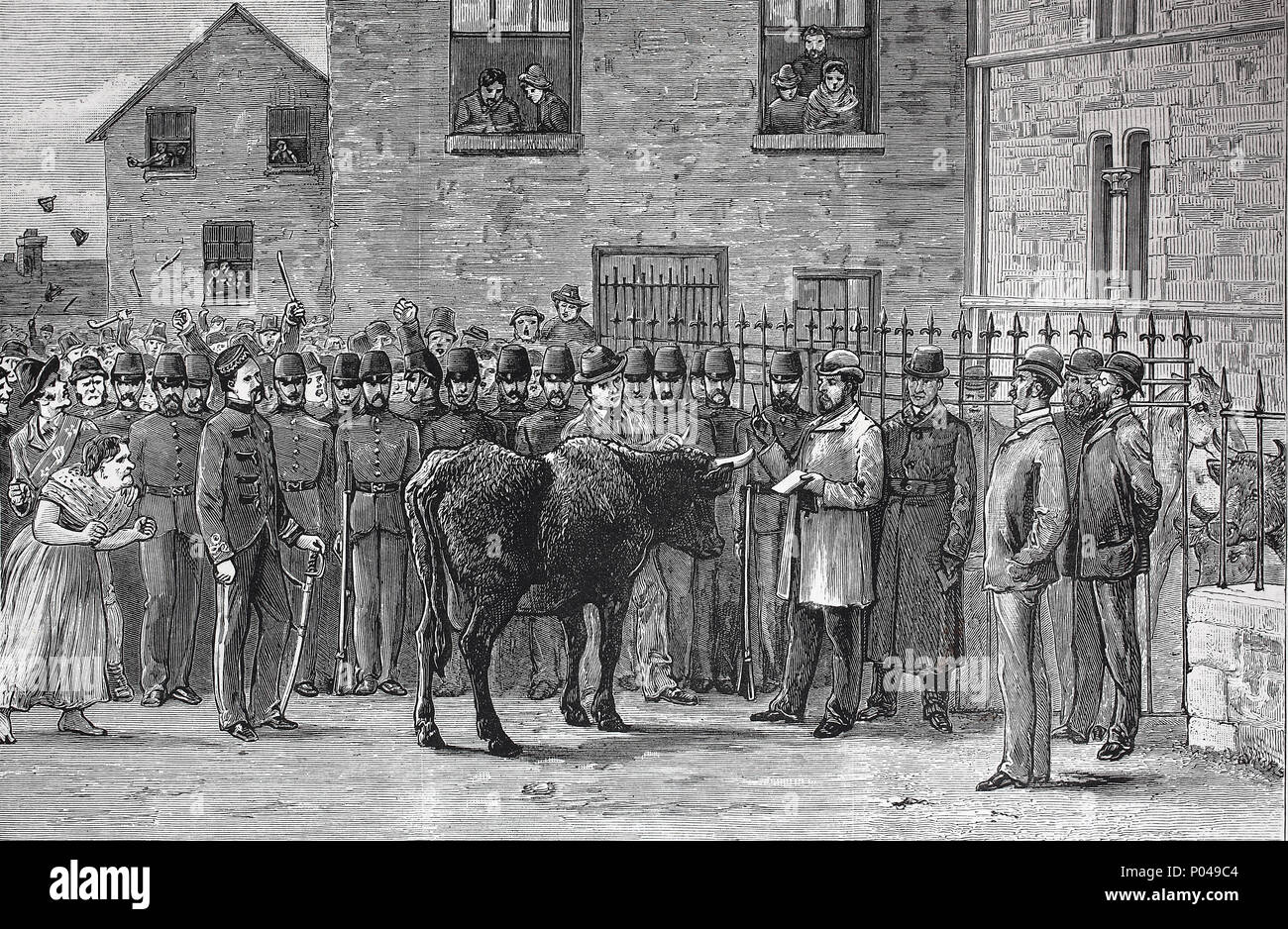 Das Land Agitation In Irland Am Sligo Gericht Haus Verkauf Von Vieh Beschlagnahmt Zum Mieten Das Land Krieg In Der Irischen Geschichte War Eine Periode Der Agrarischen Agitation Im Landlichen Irland