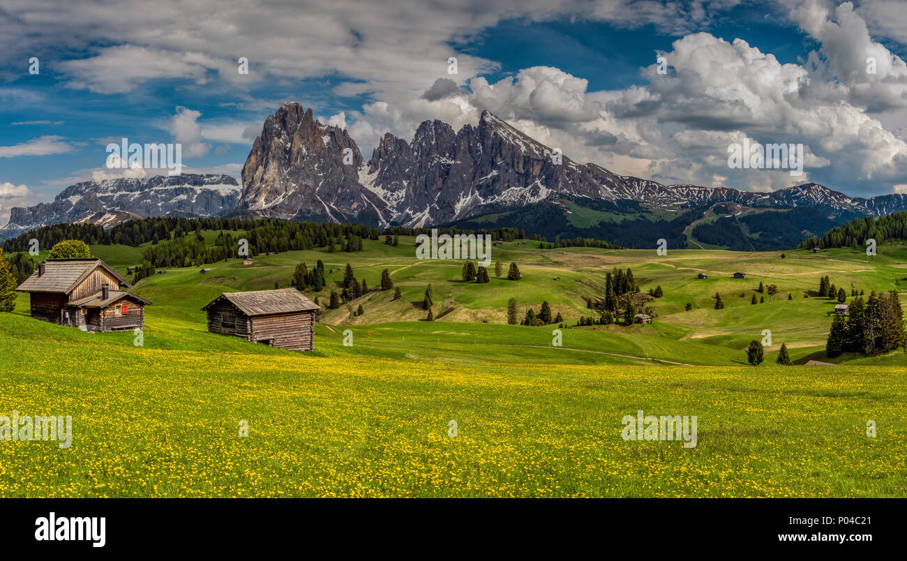 Seiser Alm - Seiser Alm, Sella und Langkofel - Langkofel mountain Group, Trentino Alto Adige - Südtirol, Italien Stockfoto