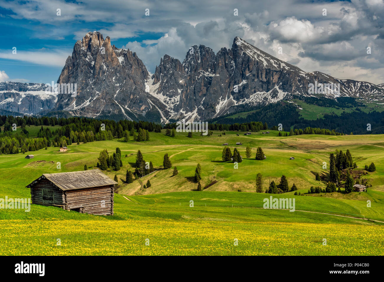 Seiser Alm - Seiser Alm mit Langkofel - Langkofel Berg im Hintergrund, Trentino Alto Adige - Südtirol, Italien Stockfoto