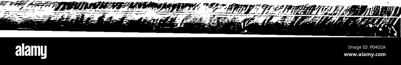 . Englisch: Fleuron aus Buch: Eine Beschreibung der Linien auf Gunter's Scale gezeichnet, wie von Herrn John Robertson, später Bibliothekar an die Royal Society verbessert; und von den Herren Nairne und Stumpf, mathematische Instrumentenbauern, Cornhill, London ausgeführt. Mit ihrer Nutzung und Anwendung in der Praxis am Beispiel vor allem in der Navigation und Astronomie. Von William Mountaine, mathematische Prüfer werden dem Herrn Abgeordneten Corporation von Trinity-House von Deptford-Strond, und F R.S. 86 Eine Beschreibung der Linien auf Gunter's Scale gezeichnet, wie von Herrn John Robertson, später Bibliothekar an die Royal Society verbessert; und Stockfoto