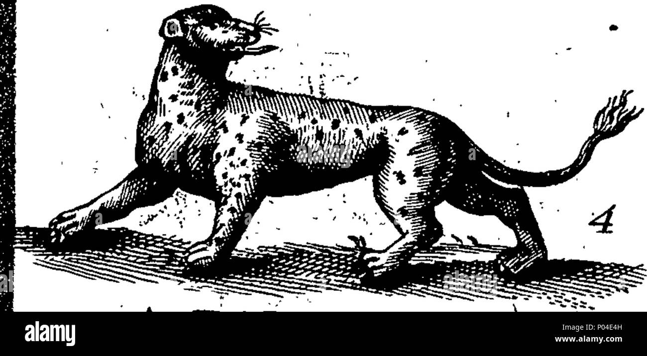 . Englisch: Fleuron aus Buch: eine Beschreibung von drei hundert Tieren, d.h. Tiere, Vögel, Fische, Schlangen und Insekten. Mit besonderer Berücksichtigung der Art ihrer fangen Wale in Grönland. Von den besten Autoren extrahiert und für die Nutzung aller Kapazitäten angepasst. Illustriert mit Kupferplatten, darauf ist neugierig jedes Tier, Vogel, Fisch, Schlange eingraviert, und Insekten, in das ganze Buch beschrieben. 87 Eine Beschreibung der drei hundert Tieren, viz Fleuron T 118395-7 Stockfoto