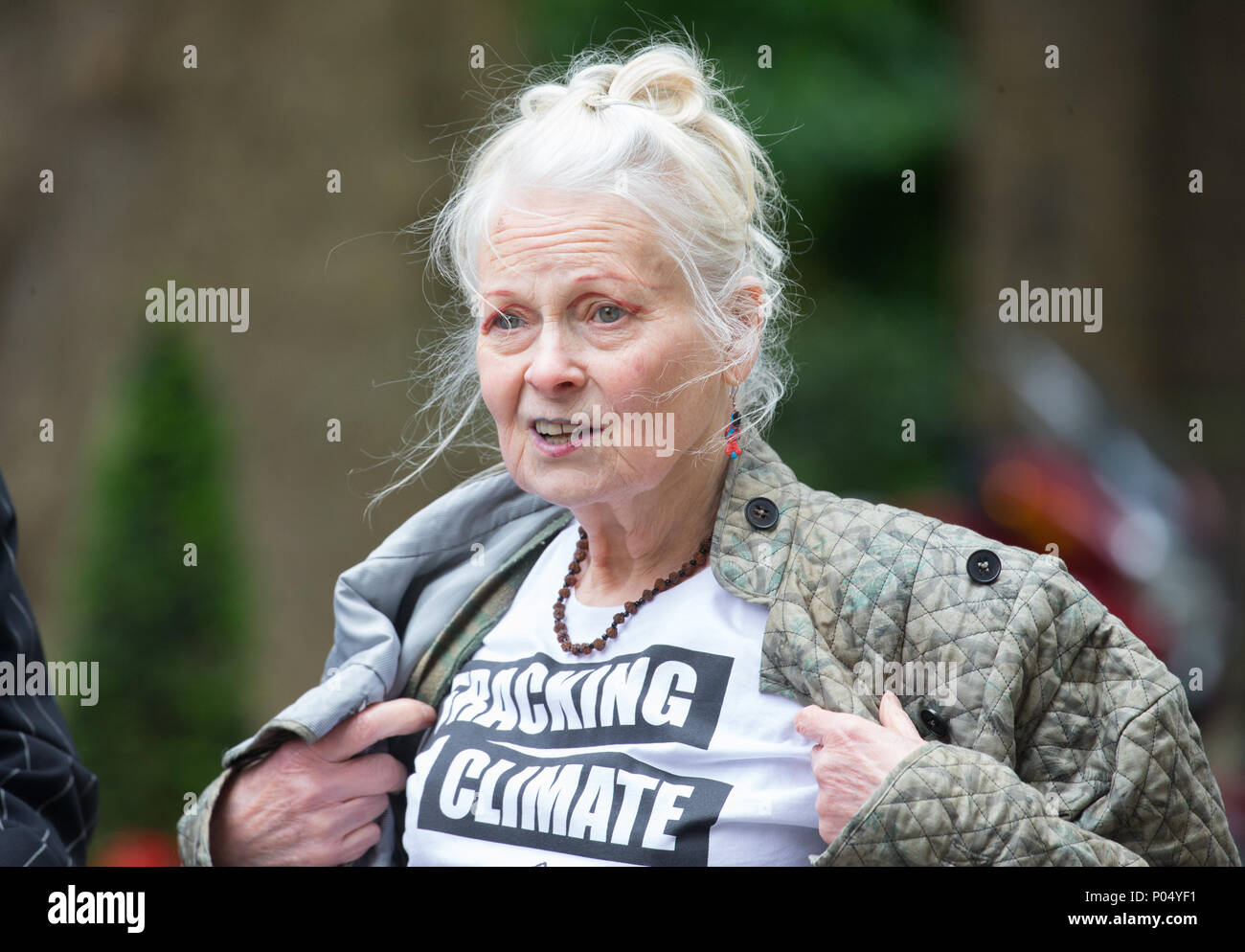 Dame Vivienne Westwood an der Nummer 10 Downing Street Übergabe in eine Petition gegen Ineos und die Verwendung von Anti-Fracking Stockfoto