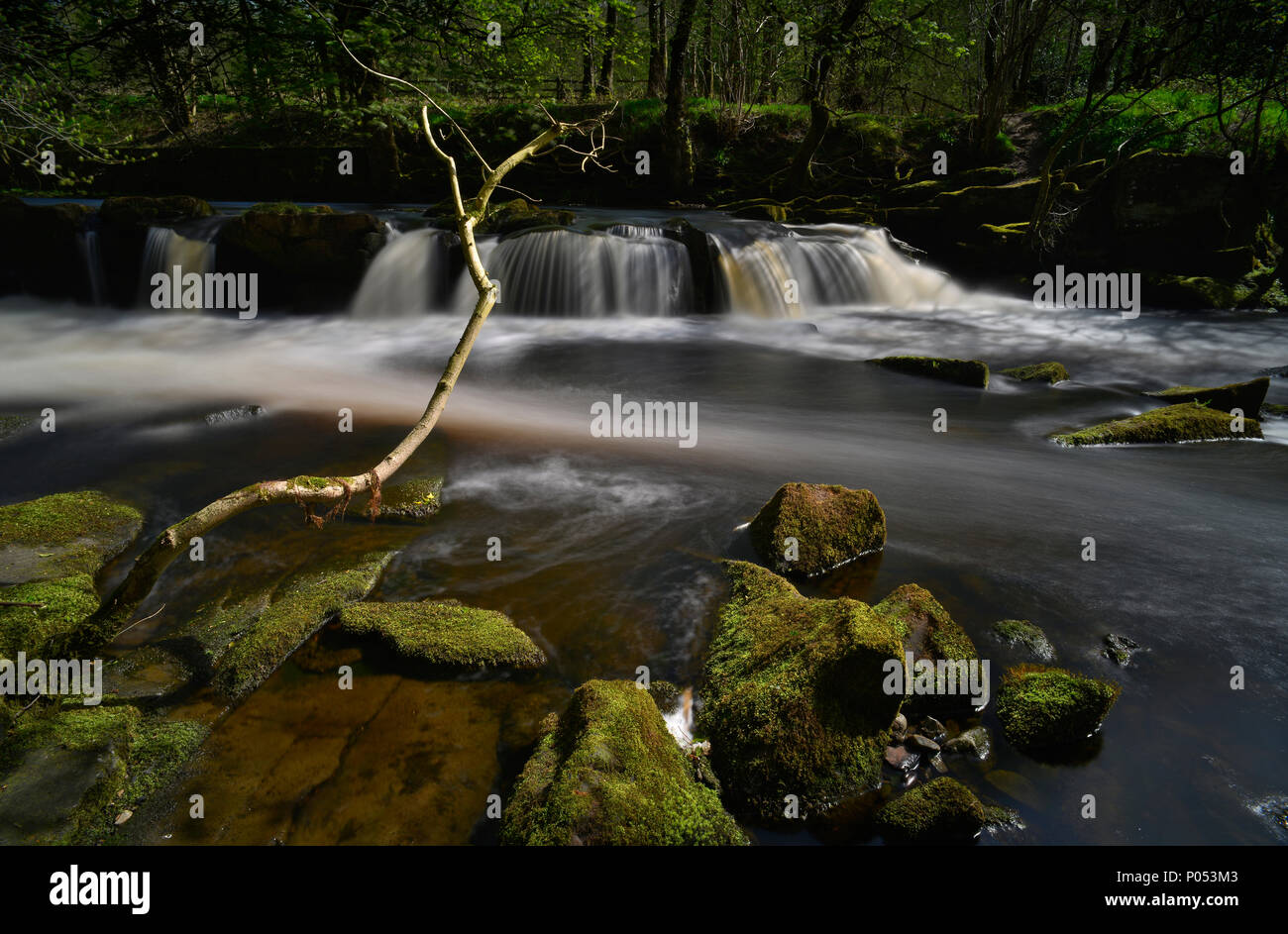 Der Wasserfall im Yorkshire Brücke über den Fluss Derwent (9) Stockfoto