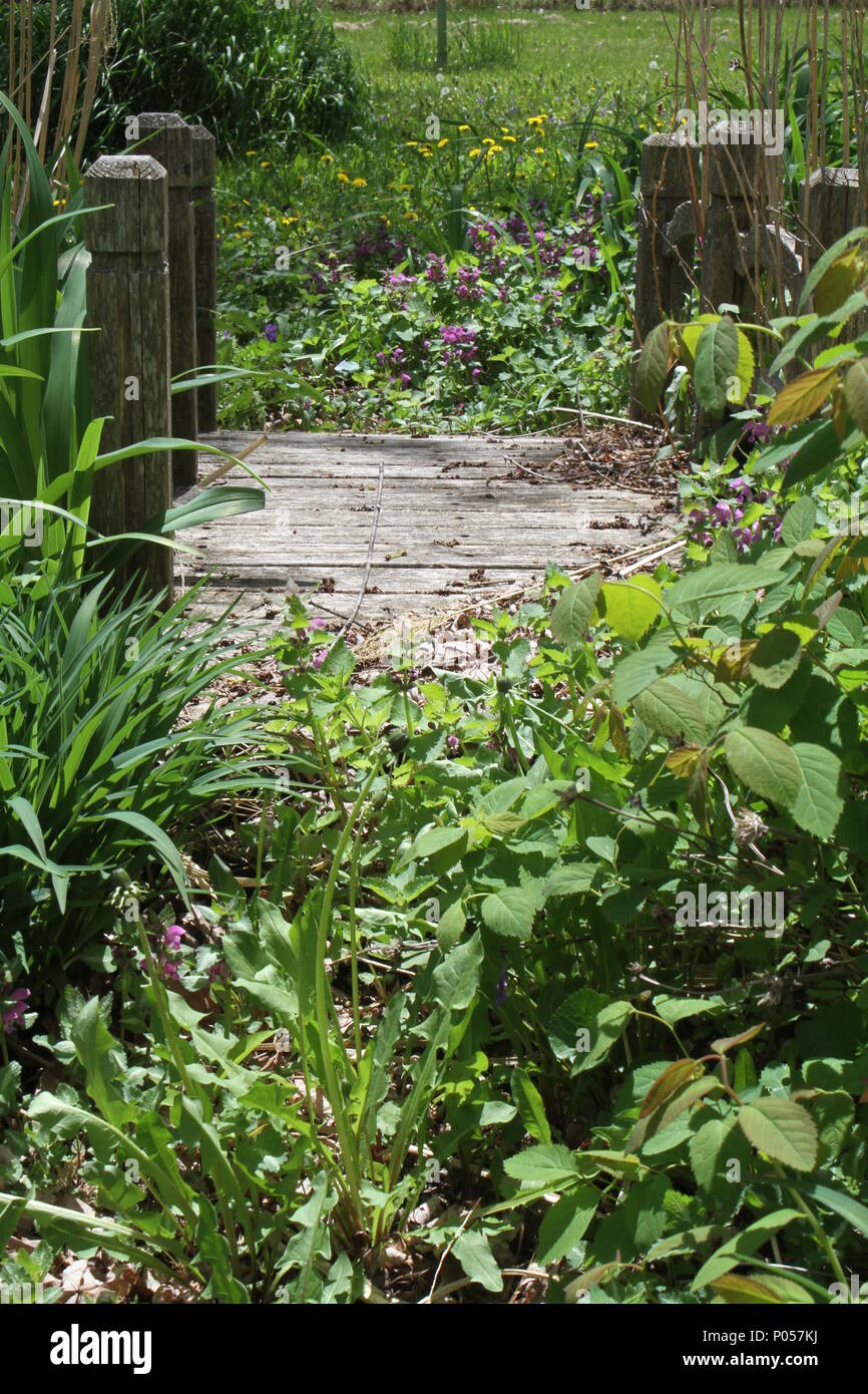 Gartenbrücke Stockfoto