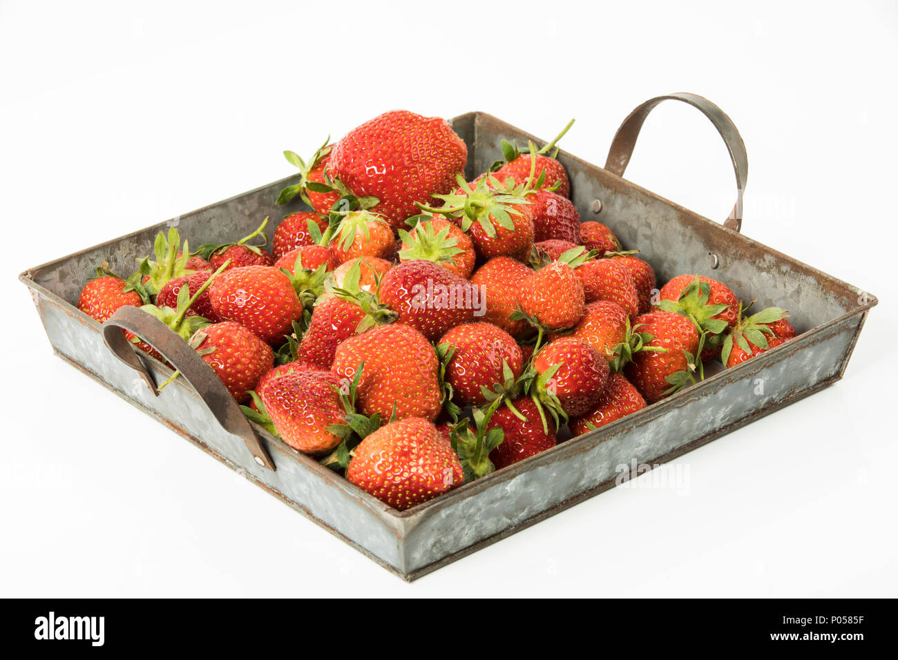 Frische Erdbeeren in einem Blechkorb, Studio Stockfoto