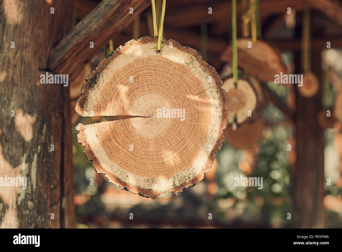 Glatte frisch geschnittenen Baum Holz mit Ringen in Hälfte gesägt Stockfoto