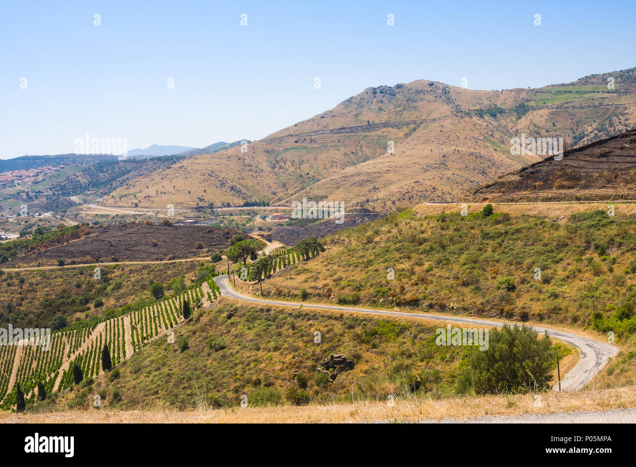 Weinberg Landschaft in der Nähe von Banyuls-sur-mer, Pyrenees Orientales, Roussillon, Vermeille-küste, Frankreich Stockfoto