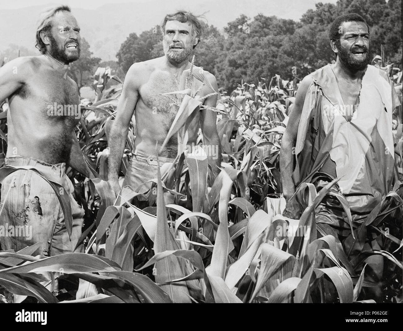 Original Filmtitel: Planet der Affen. Englischer Titel: Planet der Affen. Regisseur: FRANKLIN J. SCHAFFNER. Jahr: 1968. Stars: CHARLTON HESTON; ROBERT GUNNER; Jeff Burton. Quelle: 20th Century Fox/Album Stockfoto