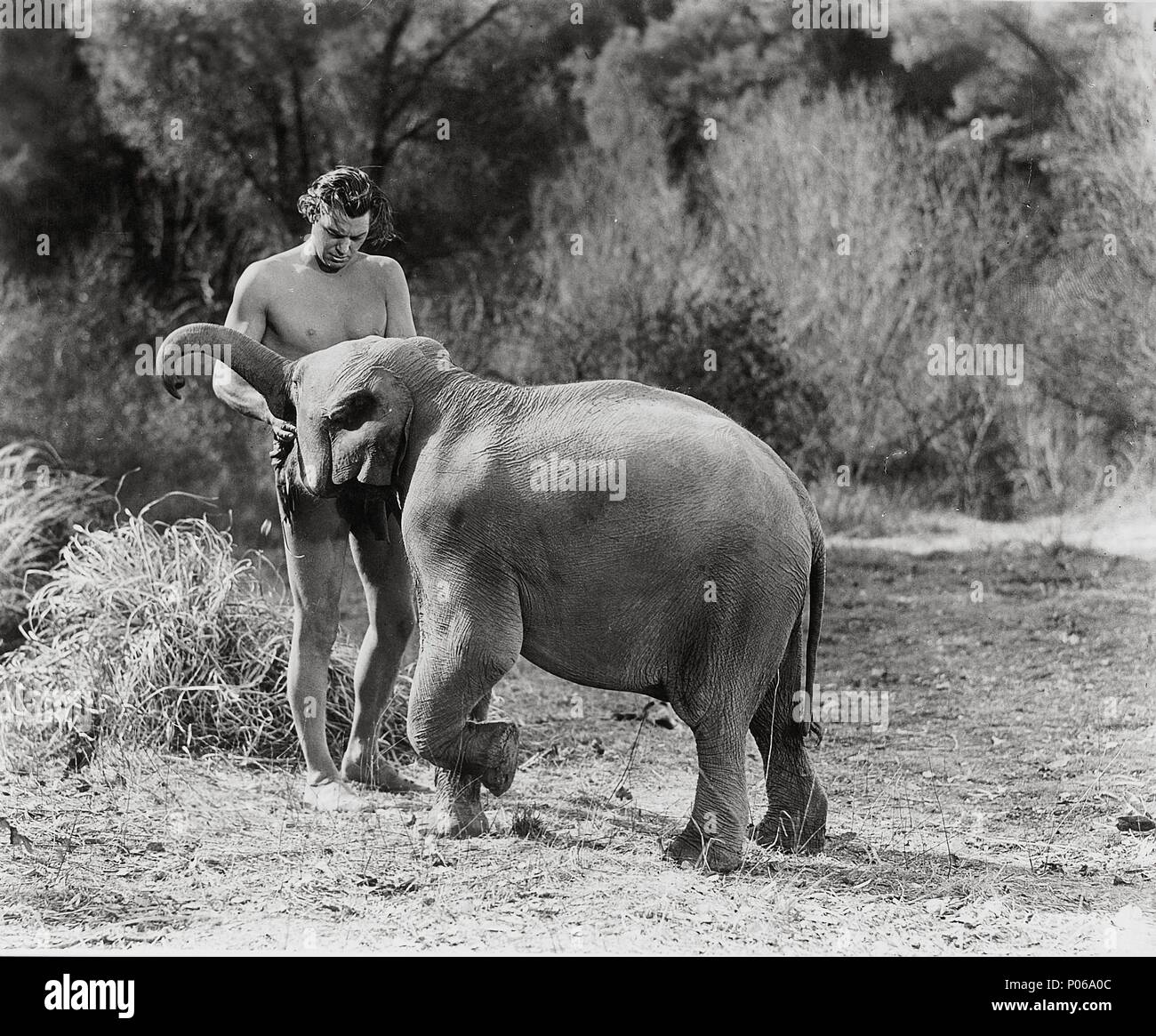 Original Film Titel TARZAN FINDET EINEN SOHN!. Englischer Titel
