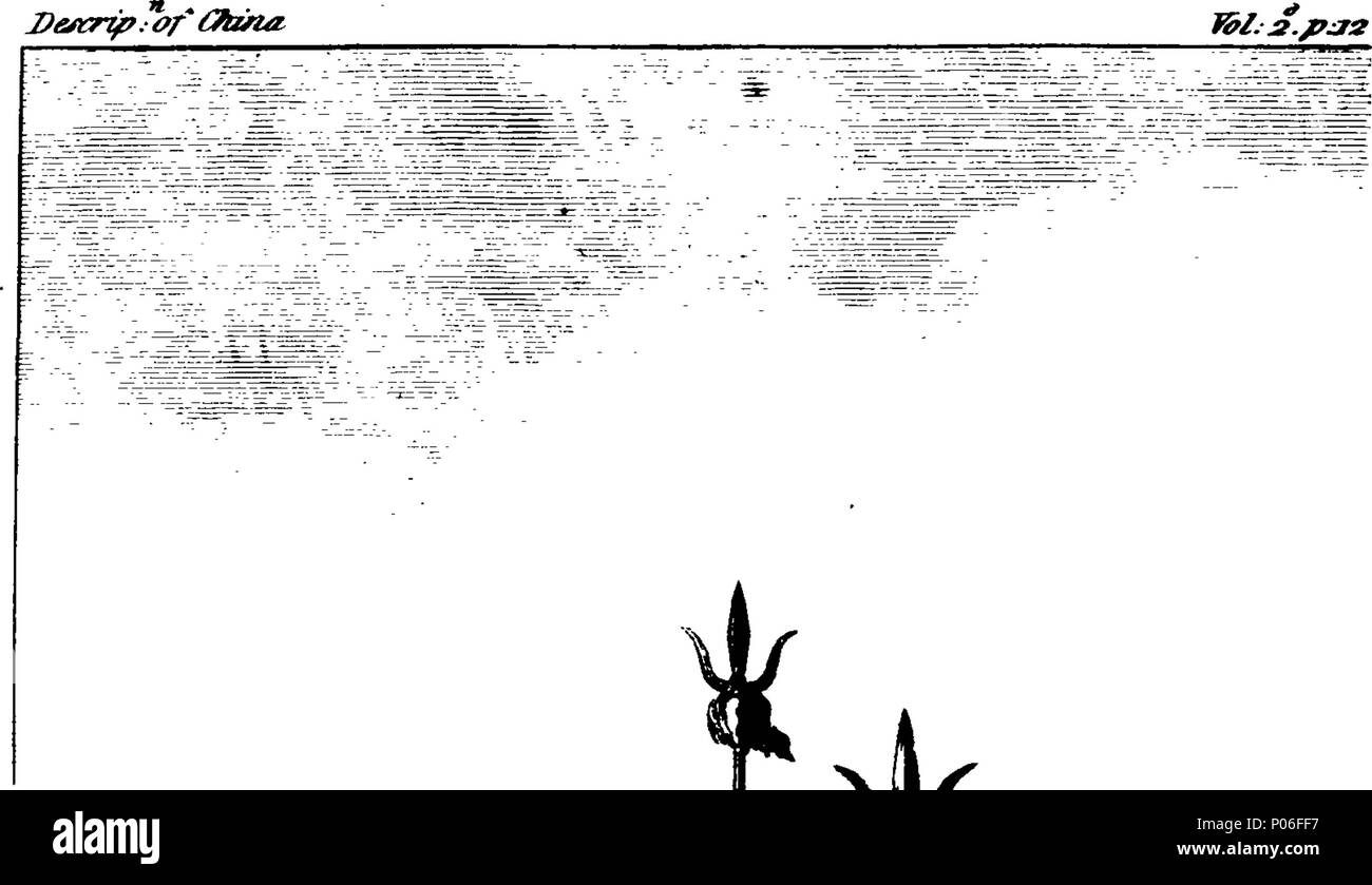 . Englisch: Fleuron aus Buch: eine allgemeine Beschreibung von China: Mit der Topographie der 15 Provinzen, die dieses riesigen Reiches verfassen; Die von Tartary, die Inseln und andere Nebenfluss Länder; die Anzahl und Lage der Städte, der Staat der Bevölkerung, der natürlichen Geschichte der Tiere, Gemüse und Mineralien. Zusammen mit den neuesten Konten für Europa, der Regierung, Religion, Sitten, Bräuche, Kunst und Wissenschaften der Chinesischen erreicht haben. Illustriert durch eine neue und korrekte Karte von China und andere Kupfer-Platten. ... Aus dem Französischen von Abbé Grosier übersetzt. 1. Stockfoto