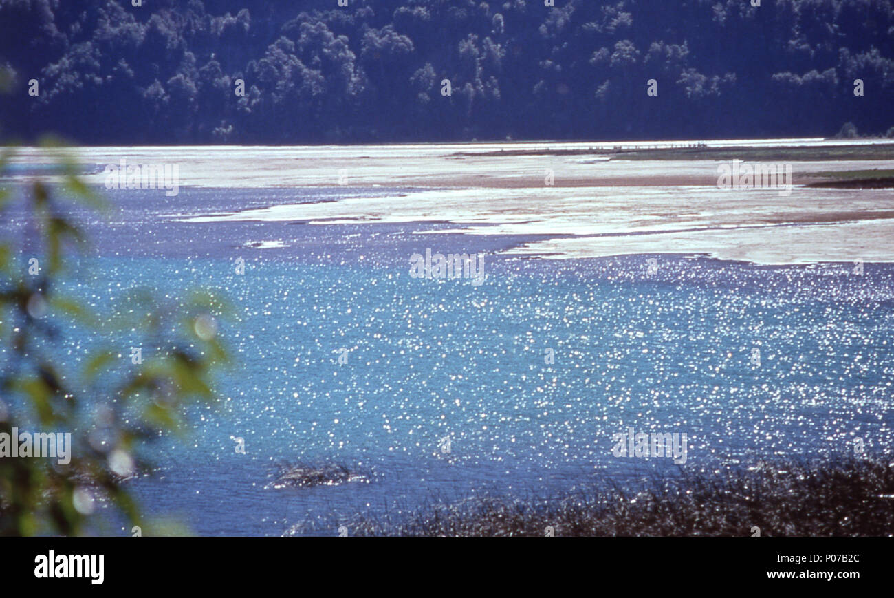 Vicente Pérez Rosales Nationalpark, Todos Los Santos See, Chile 1997 Stockfoto