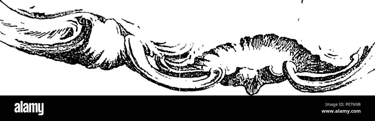 . Englisch: Fleuron aus Buch: eine geografische Darstellung der Karte von Indien, aus dem Französischen von Monr übersetzt. D'Anville, ... mit einigen Erläuterungen und Anmerkungen, die von William Herbert, hydrographer. 110 Eine geografische Darstellung der Karte von Indien, aus dem Französischen von Monr Fleuron T 112942-2 übersetzt Stockfoto