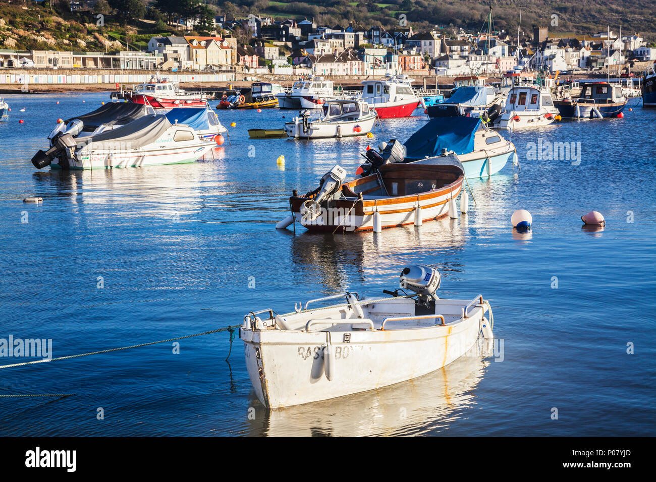 Am frühen Morgen auf den Hafen von Lyme Regis in Dorset, Großbritannien. Stockfoto