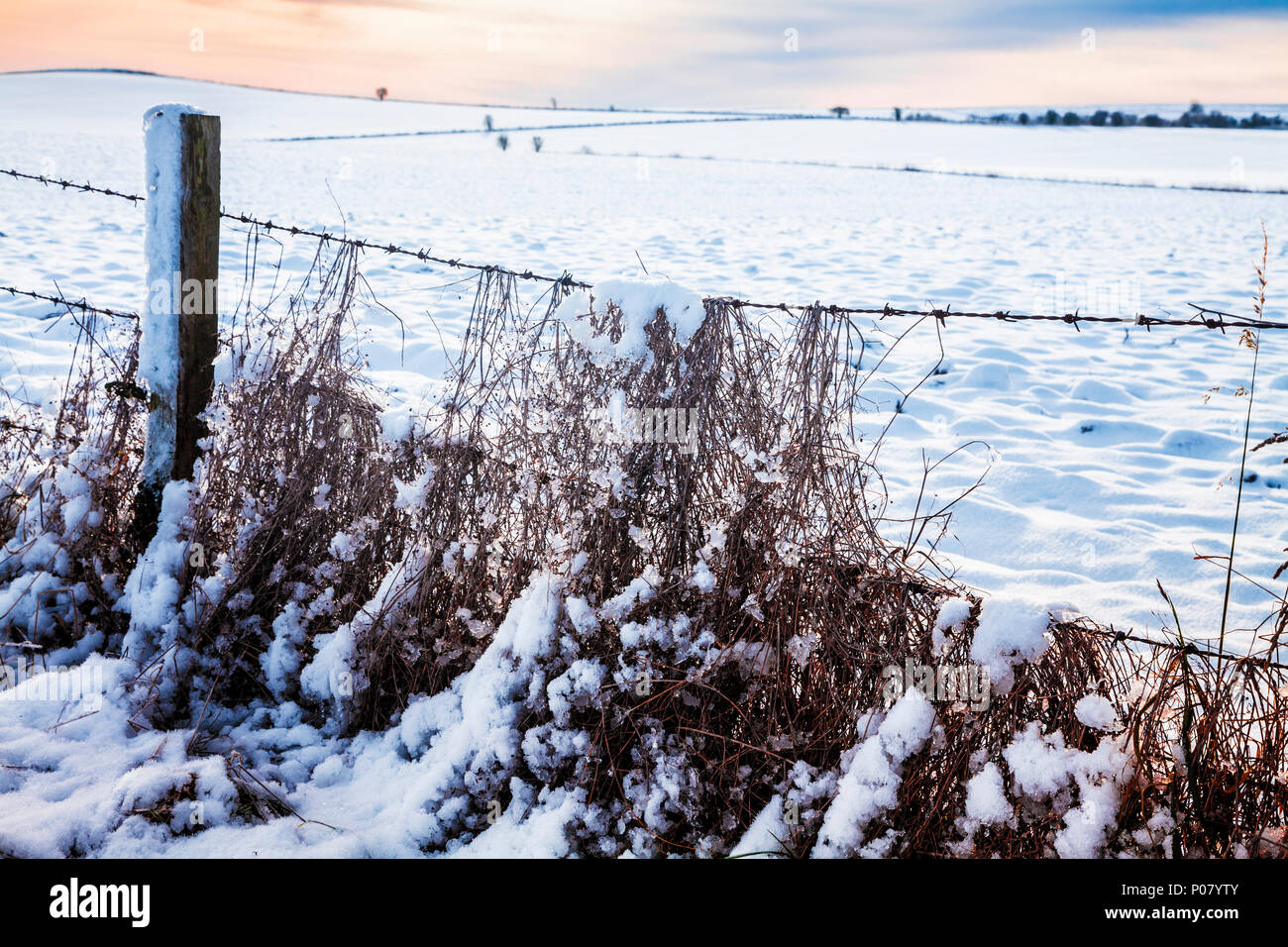 Eine verschneite Landschaft auf der Marlborough Downs in Wiltshire. Stockfoto