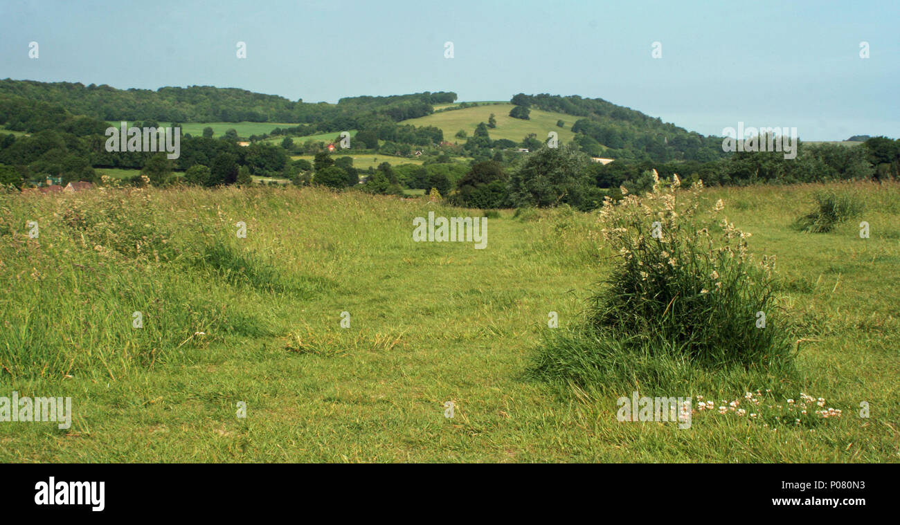 Cissbury Ring, West Sussex Stockfoto