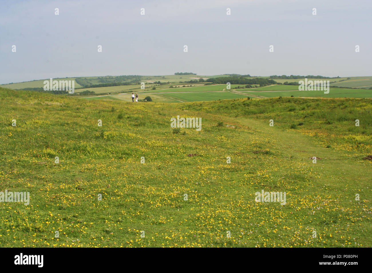 Cissbury Ring, West Sussex Stockfoto