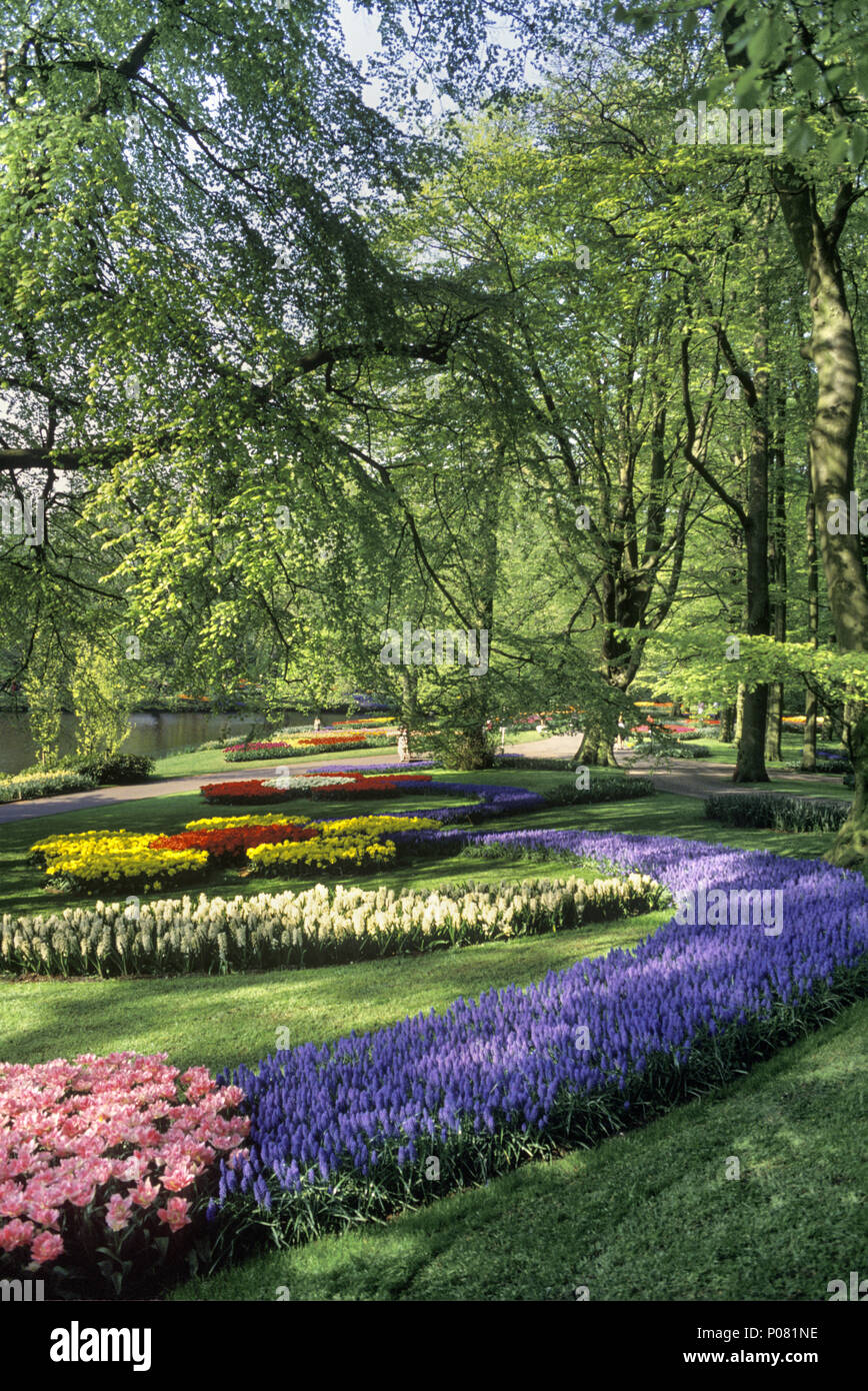 1992 historischen Botanischen Garten Blumen Frühling Keukenhof Lisse HOLLAND Stockfoto