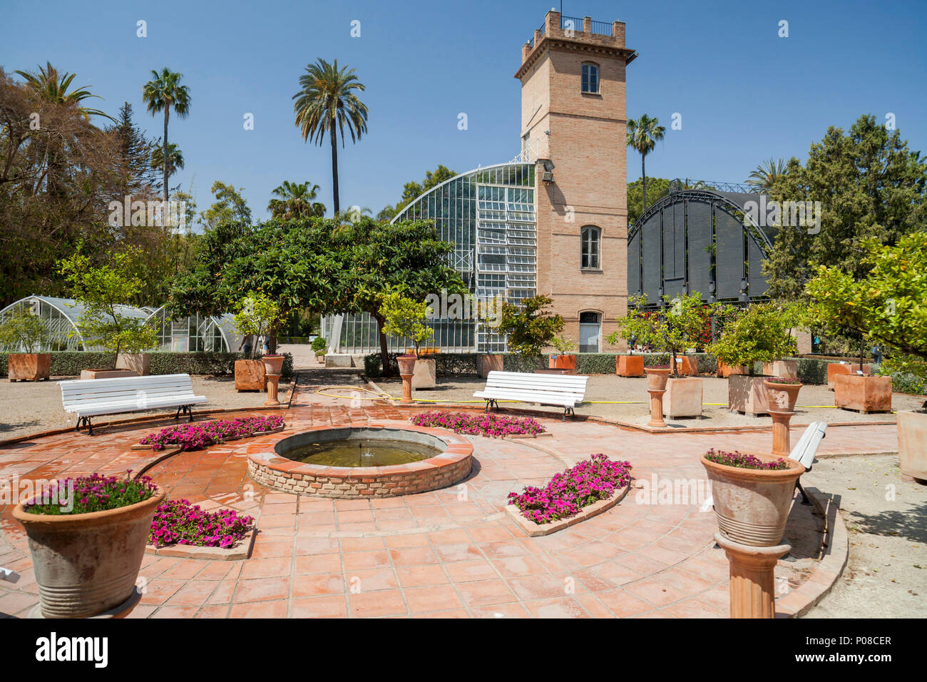Valencia botanischer garten Fotos und Bildmaterial in hoher Auflösung