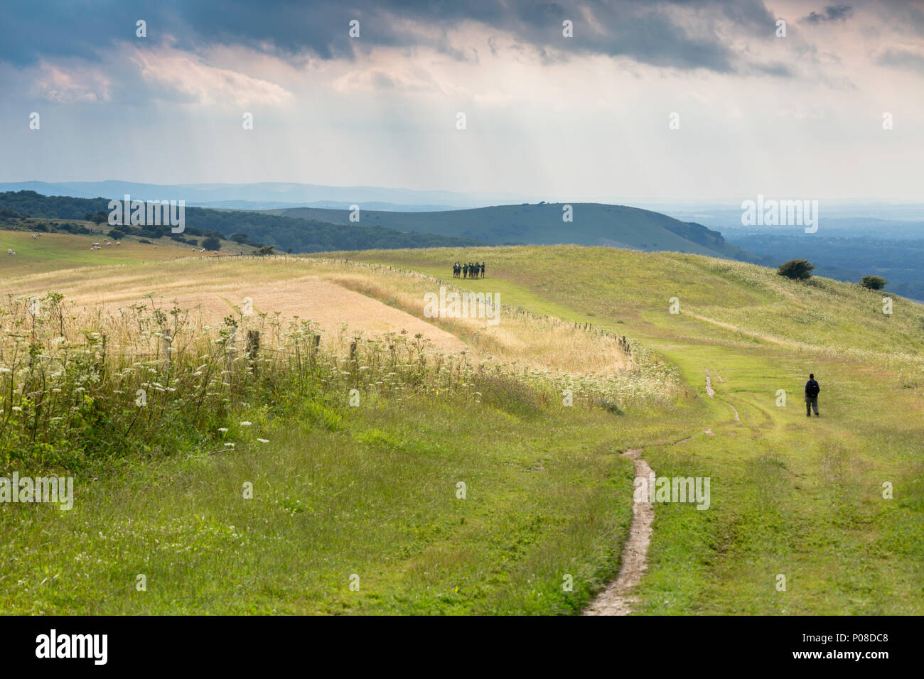 Walker bei Ditchling Beacon auf der South Downs, East Sussex, UK. Stockfoto