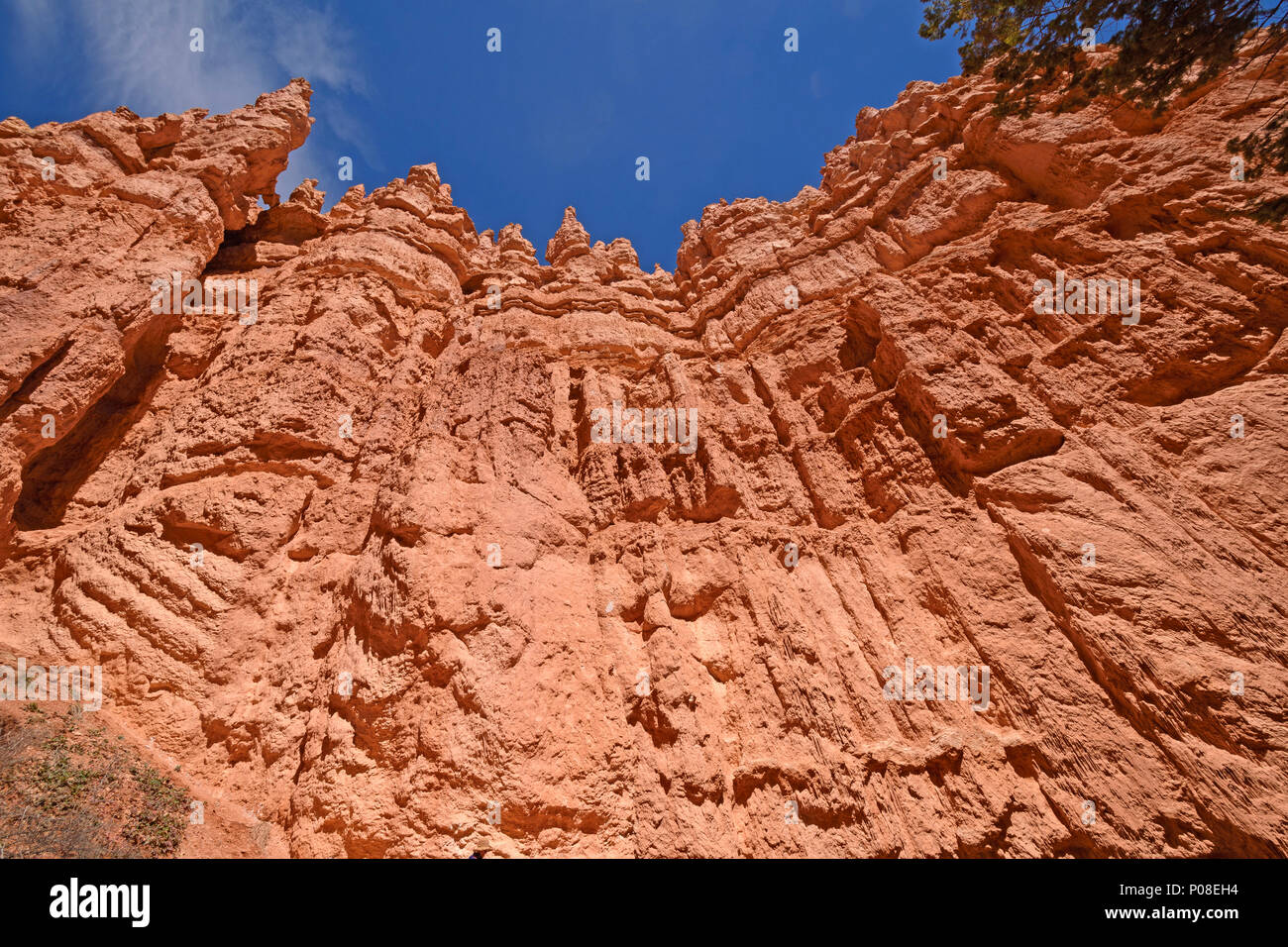 Suchen nach in die roten Felsen im Bryce Canyon National Park in Utah Stockfoto