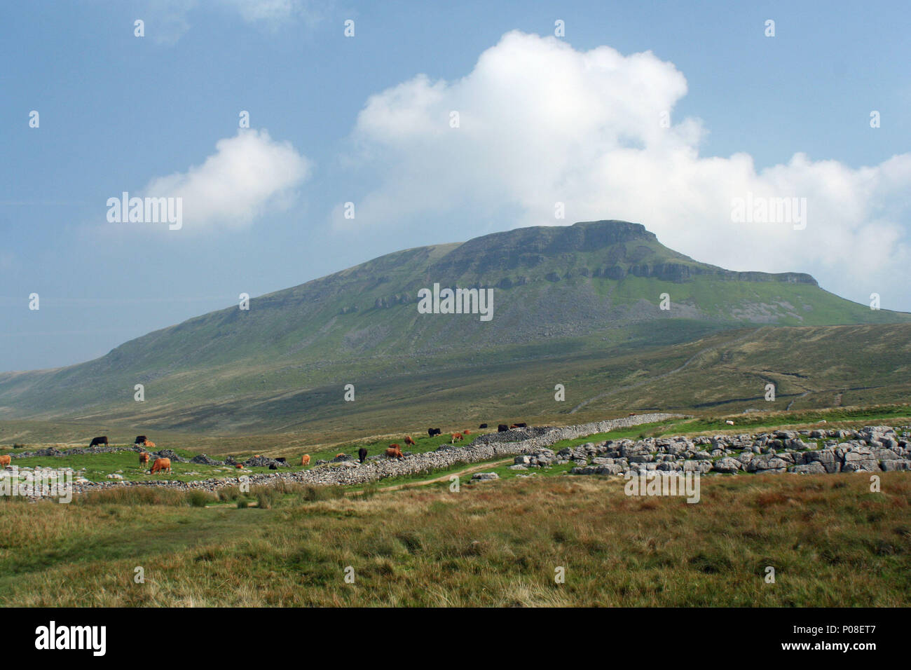 Aspekte der Yorkshire Dales Stockfoto