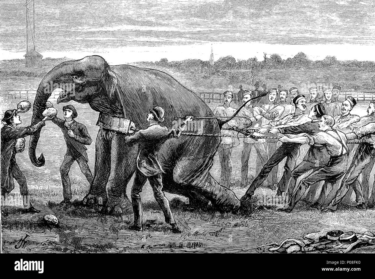 Viele Menschen versuchen, ein Elefant im Inter-University Boat Race, digital verbesserte Reproduktion einer Vorlage drucken aus dem Jahr 1881 Stockfoto