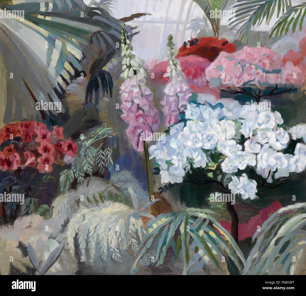 36 Frida Weiß Motiv aus dem Palmenhaus in Schönbrunn Stockfoto