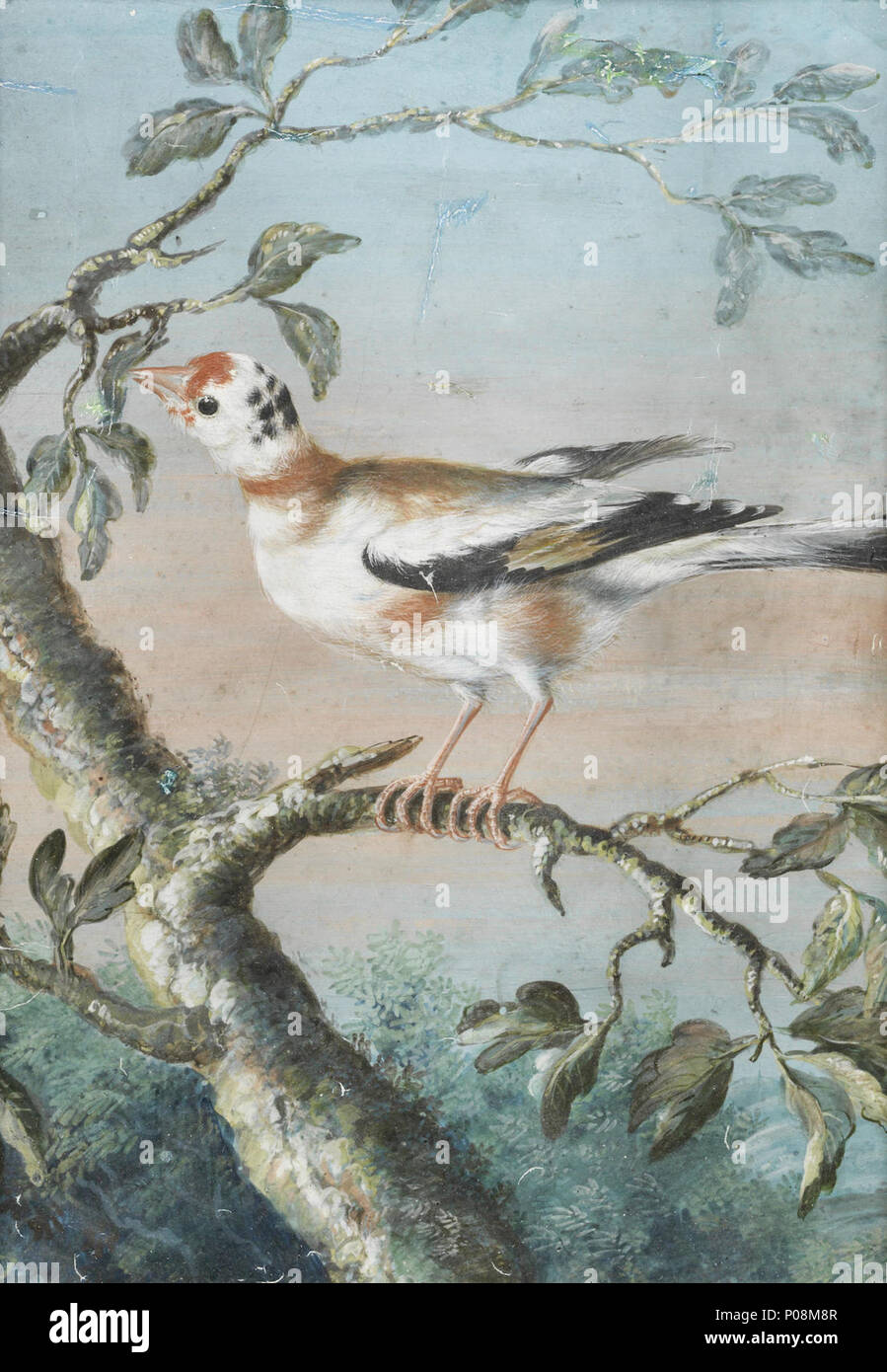 . Ein Vogel auf einem Zweig 272 Christoph Ludwig Agricola - Ein Vogel auf einem Ast sitzt Stockfoto . Ein Vogel auf einem Zweig 272 Christoph Ludwig Agricola - Ein Vogel auf einem Ast sitzt Stockfoto