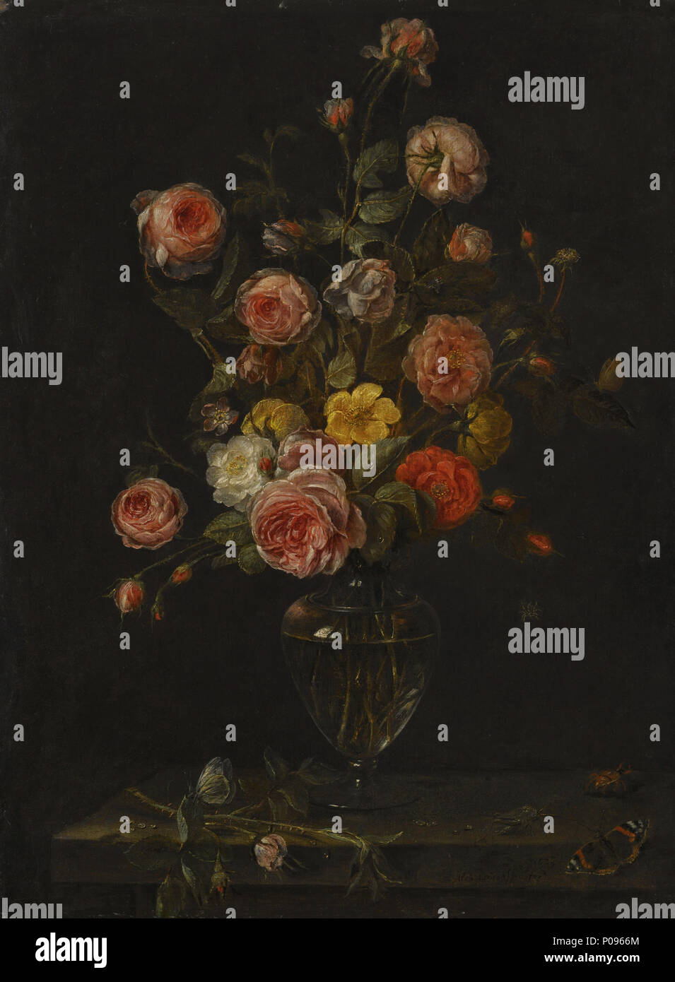 . Ein Stillleben mit rot, weiß und rosa Rosen in einer Glasvase über einen Stein Leiste mit Schmetterlingen, Heuschrecken und Käfer. Zwischen 1623 und 1661 277 Alexander Adriaenssen - ein Stillleben mit rot, weiß und rosa Rosen in einer Glasvase über einen Stein Leiste mit Schmetterlingen, eine Heuschrecke und einen Käfer Stockfoto