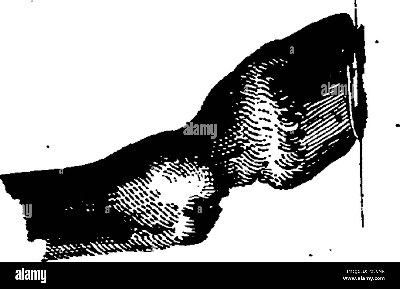 . Englisch: Fleuron aus Buch: Eine Neue compendious Abhandlung von farriery. Darin sind in einem einfachen, familiär, und natürliche Weise, Störungen der Vorfall zu Pferde, und ihre jeweiligen Kuren; Zusammen mit einige interessante Beobachtungen auf Blutungen, Spülung, Übung, &c. Und ein bestimmtes Rezept für die Cholick. Von John Wood, Ende Hufschmied zum König von Sardinien; aber jetzt bei Cheshunt in Hertfordshire. 145 Eine Neue compendious Abhandlung von farriery Fleuron T 117139-34 Stockfoto