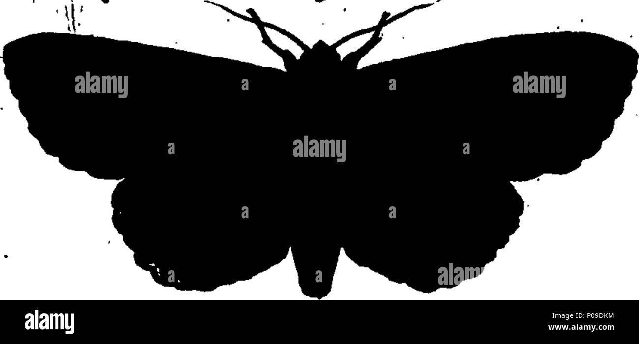 . Englisch: Fleuron aus Buch: Neues Wörterbuch der Naturgeschichte; oder, compleat Universal Display der belebten Natur. Mit präzisen Darstellungen der meisten neugierig und schöne Tiere, elegant gefärbt. Von William Frederic Martyn, Esq. In zwei Bänden. ... 146 ein neues Wörterbuch der Naturgeschichte; oder, compleat Universal Display der belebten Natur Fleuron T 081840-22 Stockfoto