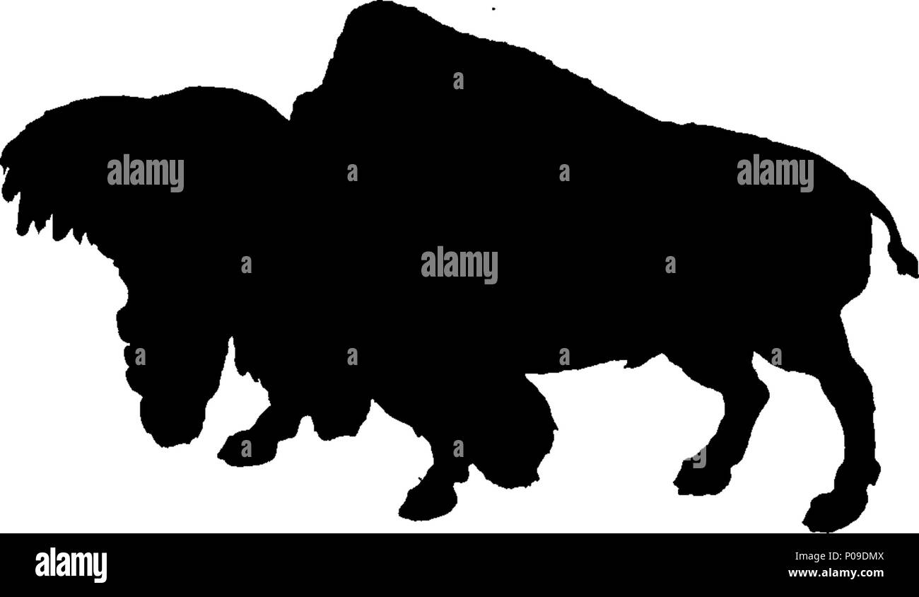 . Englisch: Fleuron aus Buch: Neues Wörterbuch der Naturgeschichte; oder, compleat Universal Display der belebten Natur. Mit präzisen Darstellungen der meisten neugierig und schöne Tiere, elegant gefärbt. Von William Frederic Martyn, Esq. In zwei Bänden. ... 146 ein neues Wörterbuch der Naturgeschichte; oder, compleat Universal Display der belebten Natur Fleuron T 081840-38 Stockfoto