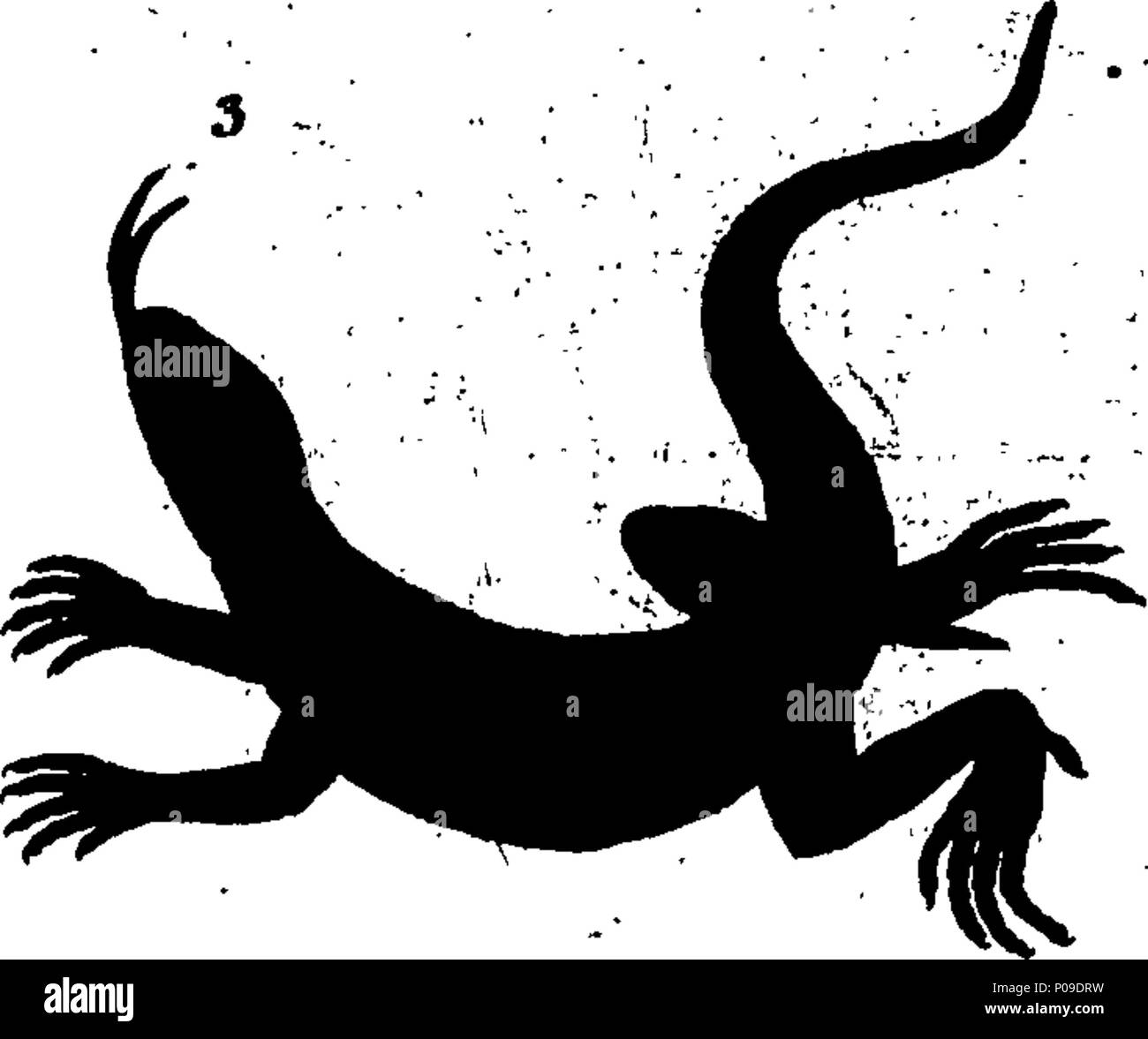 . Englisch: Fleuron aus Buch: Neues Wörterbuch der Naturgeschichte; oder, compleat Universal Display der belebten Natur. Mit präzisen Darstellungen der meisten neugierig und schöne Tiere, elegant gefärbt. Von William Frederic Martyn, Esq. In zwei Bänden. ... 146 ein neues Wörterbuch der Naturgeschichte; oder, compleat Universal Display der belebten Natur Fleuron T 081840-7 Stockfoto