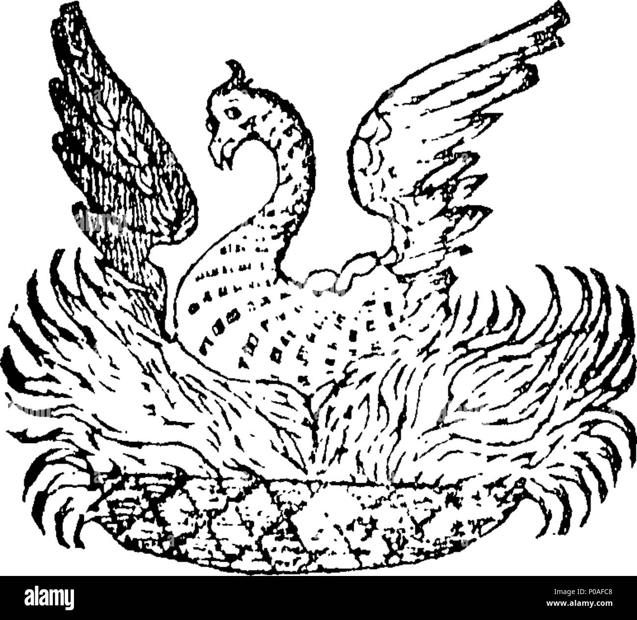 . Englisch: Fleuron aus Buch: eine neue Geschichte der Welt, mit einer historischen und chronologischen Berücksichtigung der Zeiten und Transaktionen, von der Erstellung bis zur Geburt unseres Herrn Jesus Christus, nach der Berechnung der Septuaginta, die der Autor offensichtlich shews zu sein, dass der alten hebräischen Kopie der Bibel. Zusammen mit chronologischen Tabellen am Ende jeder Epoche, in der sich das Leben der Patriarchen nach der Sintflut, die Herrschaften der Herrscher und Könige der Kinder Israel und Juda, parallel werden würde (und genau übereinstimmen) mit denen des Assirian, babylonischen, persischen, Stockfoto