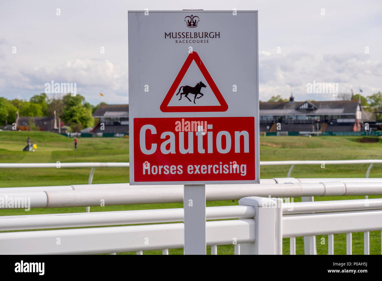 Vorsicht Pferde trainieren in Musselburgh Race Course, East Lothian, Schottland, Vereinigtes Königreich. Stockfoto