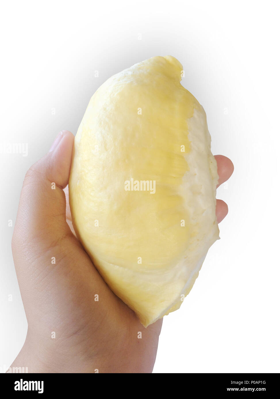Hand Big durian Samen auf weißem Hintergrund Stockfoto