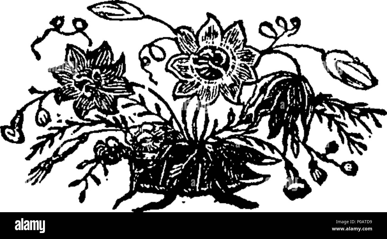 . Englisch: Fleuron aus Buch: Ein praktisches Dissertation über die medizinischen Auswirkungen der Badewanne Wasser. Von William Falkner, M.D. F.R.S. und Arzt an der Badewanne Krankenhaus. 175 Eine praktische Dissertation über die medizinischen Auswirkungen der Badewanne Wasser Fleuron T 056796-3 Stockfoto