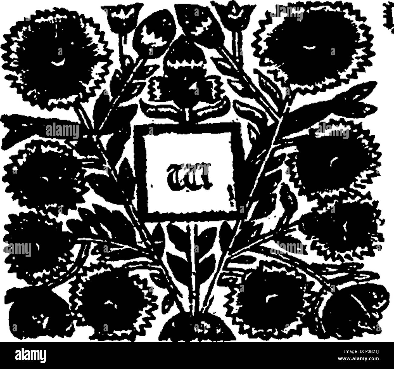 . Englisch: Fleuron aus Buch: Ein Akt für den Erhalt der Privilegien der Botschafter und andere publick Außenminister Fürsten und Staaten. 298 Ein Akt für den Erhalt der Privilegien der Botschafter und andere publick Außenminister Fürsten und Staaten Fleuron N 051190-2 Stockfoto