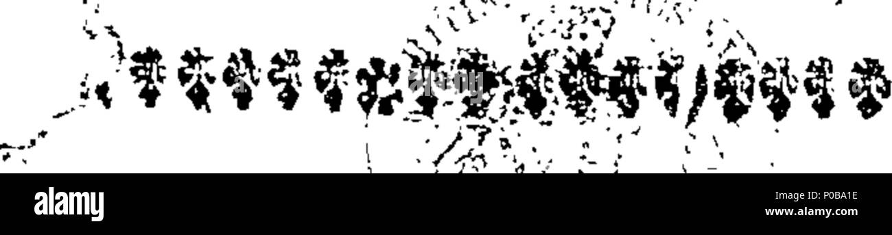 . Englisch: Fleuron aus dem Buch: "eine protestantische Auflösung: erweist seine Gründe, warum er nicht ein Papist werden. Verdaut in so eine Methode von Frage und Antwort, dass eine ordentliche Kapazität kann in der Lage sein, die Evangelische Religion zu verteidigen, gegen die die meisten gerissen Jesuit, oder Popish-Priest. 180 ist eine protestantische Auflösung - erweist seine Gründe, warum er nicht wird ein Papist Fleuron T werden 014171-3 Stockfoto