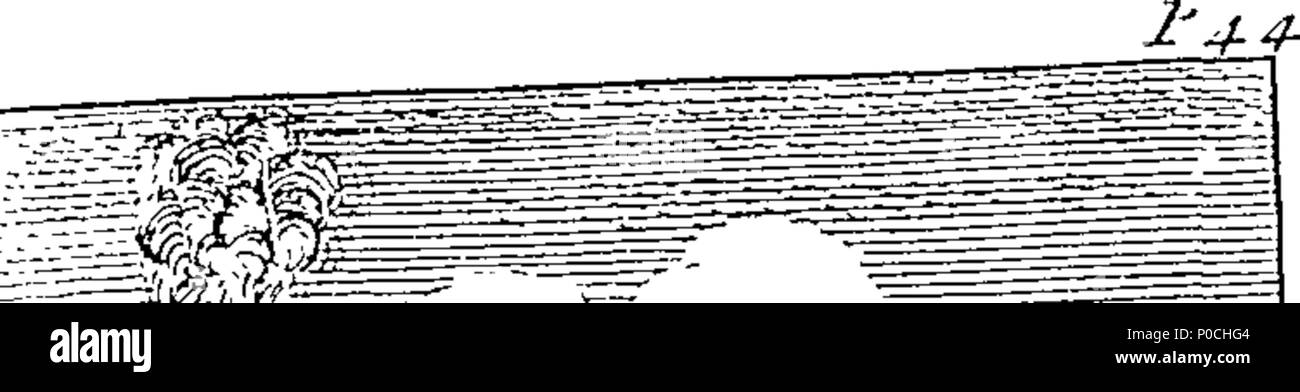 Download Zu urteilen For Free Zu Urteilen